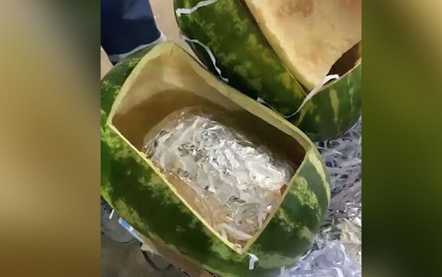 Astarada qarpızların içindən 63 kq narkotik çıxdı - Foto