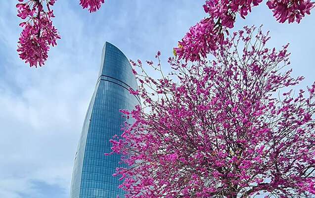 Sabah 31° isti olacaq