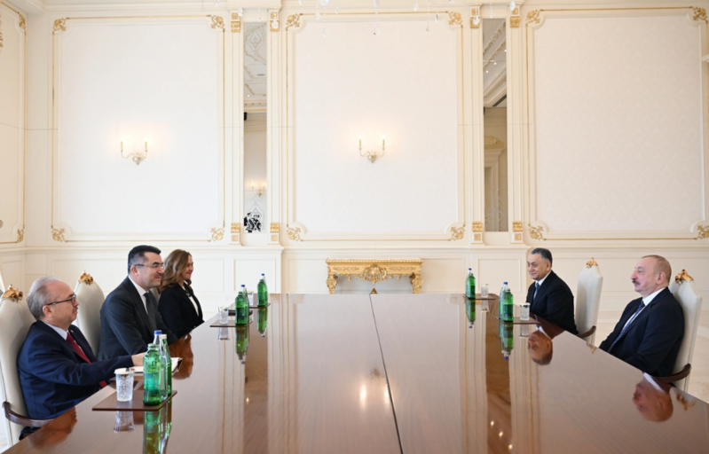 İlham Əliyev Türkiyə Milli Təhlükəsizlik Şurasının baş katibini qəbul edib