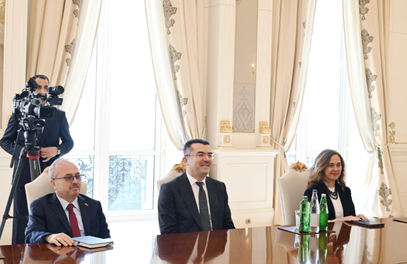 İlham Əliyev Türkiyə Milli Təhlükəsizlik Şurasının baş katibini qəbul edib