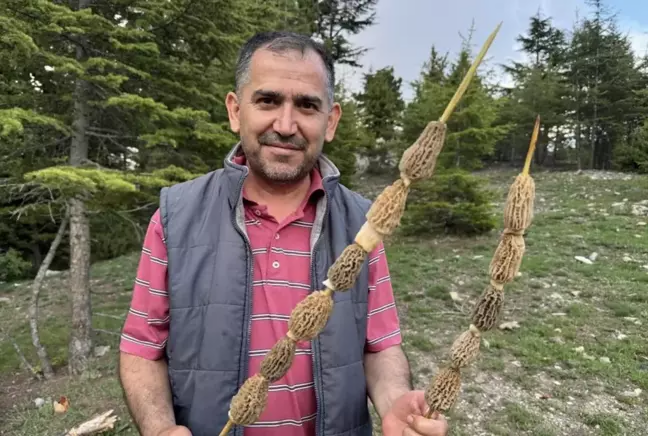 Kilosu 40 manata satılır - Bütün kənd bura axın edir