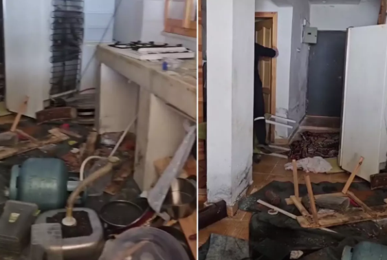 Ayılar bələdiyyə sədrinin dağ evinə girərək otaqları talan etdilər - VİDEO