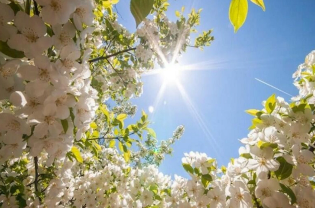 Sabah 31 dərəcə isti olacaq