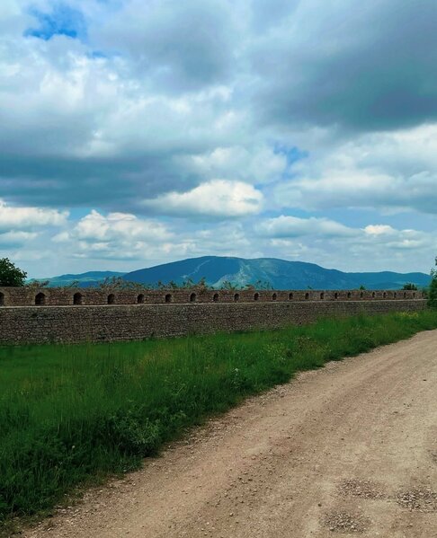 Cəlil Məmmədquluzadənin nəticəsi Şuşada - Fotolar