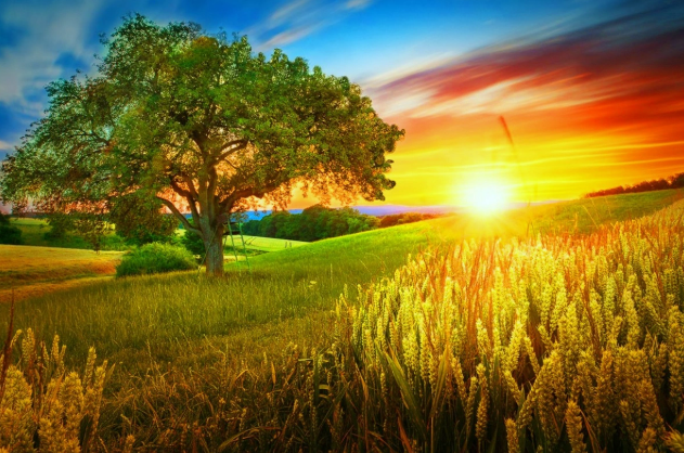 İyunda da hava yağış və küləkli keçəcək?