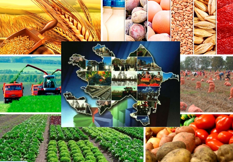 Azərbaycanın dayanıqlı inkişaf strategiyası və regional islahatlar - RƏY