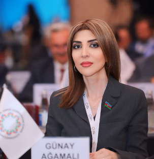 Azərbaycanın dayanıqlı inkişaf strategiyası və regional islahatlar - RƏY