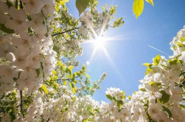 Sabah 35 dərəcə isti olacaq