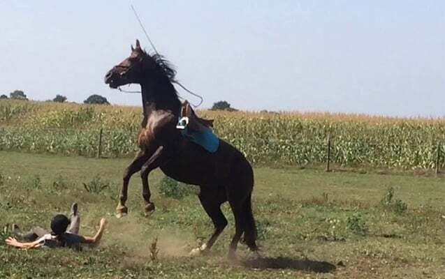 17 yaşlı oğlan atdan yıxılıb yaralandı