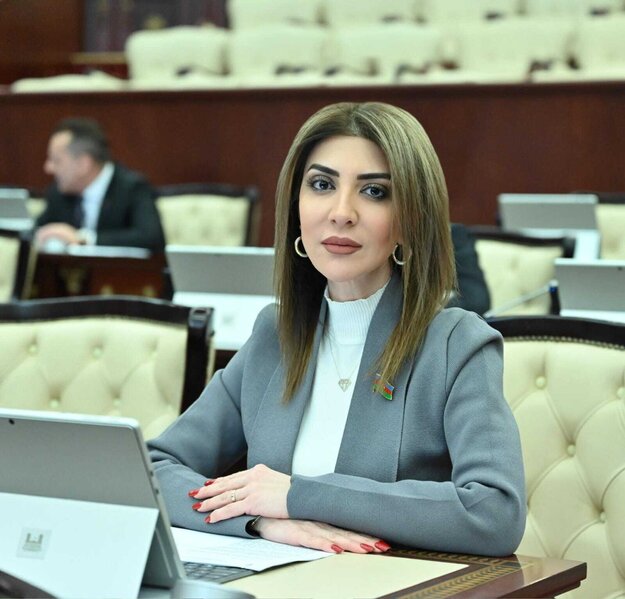 "8 Noyabr" Elektrik Stansiyası Azərbaycanın güclənən sənaye və enerji strategiyasının bariz təzahürüdür" - DEPUTAT