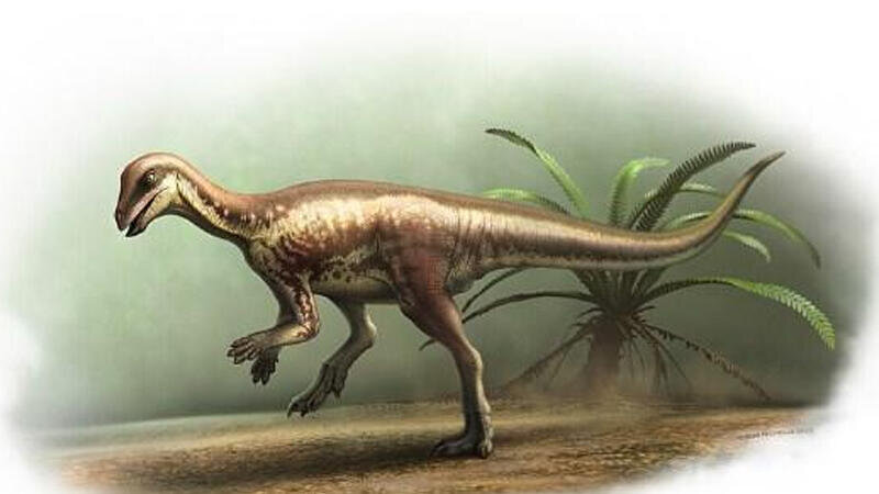 Sirli qaçan dinozavr Yura dövrünün başqa bir sirrini açdı