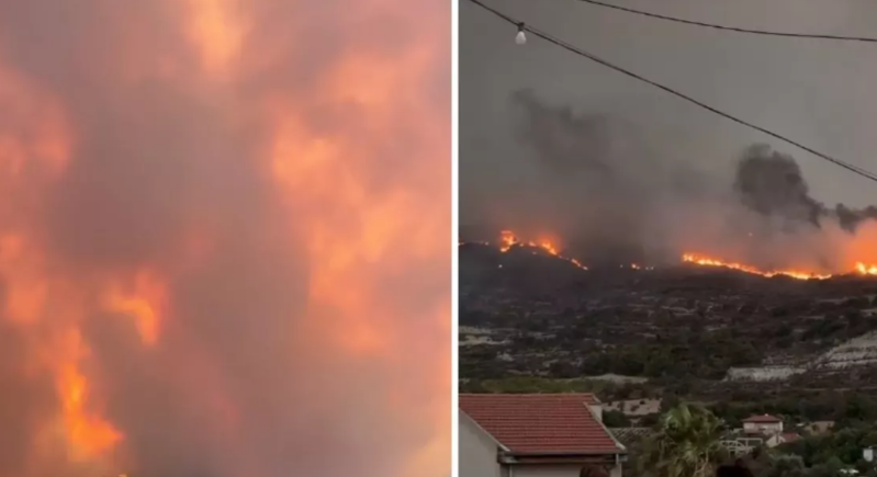 Meşə yanğını faciəyə səbəb oldu: 2 nəfər avtomobildə yanaraq öldü, lüks villalar külə döndü