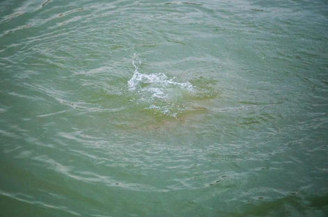 İsmayıllıda 26 yaşlı gənc çayda batıb