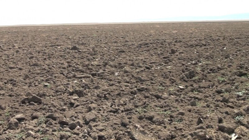 Azərbaycanda 100-lərlə hektar ərazi bu səbəbdən becərilmir (VİDEO)