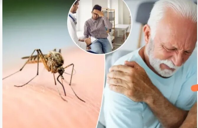 Çikunqunya virusunun əlamətləri nələrdir?