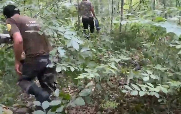 Meşədə itkin düşən şəxs tapıldı - Video