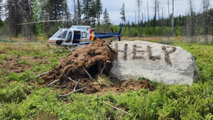 Kanadada meşədə itkin düşən şəxs 9 gün su ilə qidalanıb