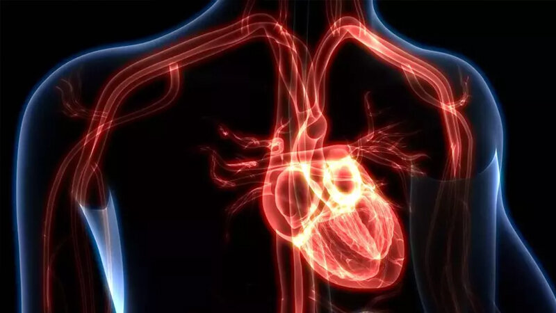 Səssiz təhlükə: Şiddətli sinə və bel ağrısı, nəfəs darlığına səbəb nədir?