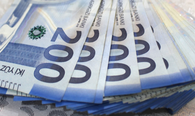 Azərbaycanda 75 minə yaxın şəxs əlavə PUL ALACAQ