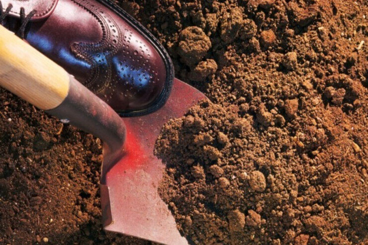 Arvadını gizlicə meşədə basdırdı