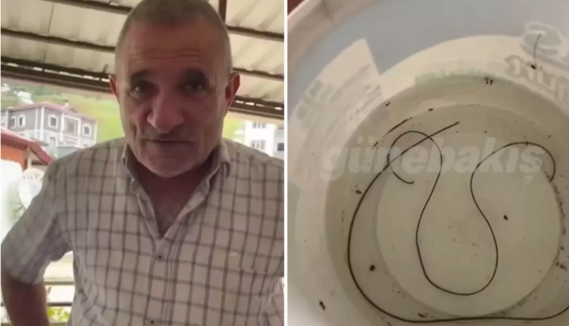 Suyun içindən çıxan cismi görən vətəndaş heyrətə gəldi: "Hərəkət edir bu" - VİDEO