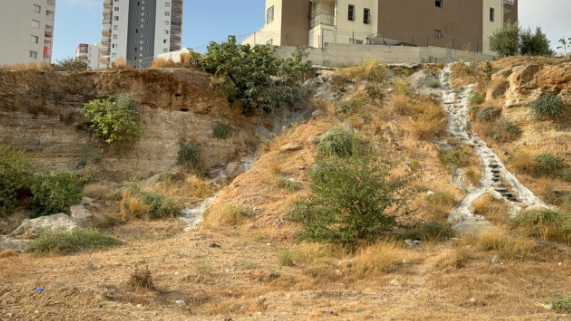 Yol kənarında kişi meyiti tapıldı