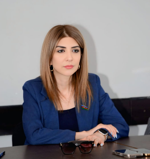 "Cəmiyyətin inkişafında gender bərabərliyi və ailə institutunun möhkəmlənməsi mühüm əhəmiyyət kəsb edir" - DEPUTAT