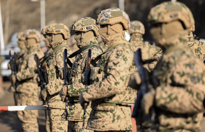 Daxili qoşunların tərkibi hansı strukturlardan ibarət olacaq?