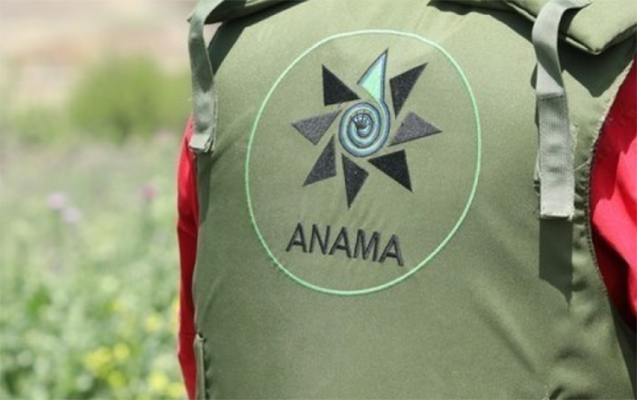 Laçında ictimai asayişi pozan ANAMA-nın vəzifəli şəxsləri - Həbs olundu