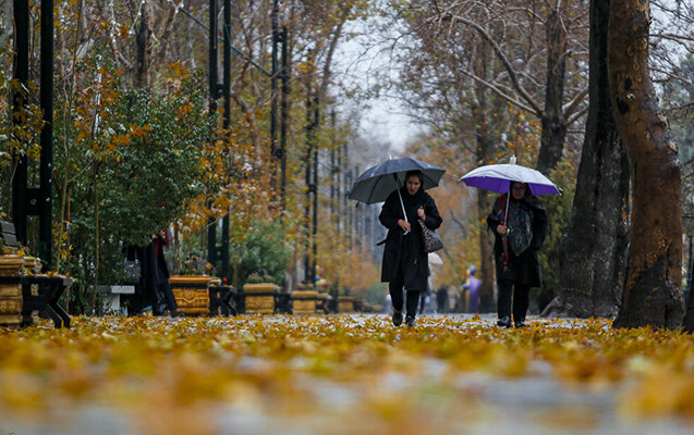 Külək və yağışla bağlı - Xəbərdarlıq