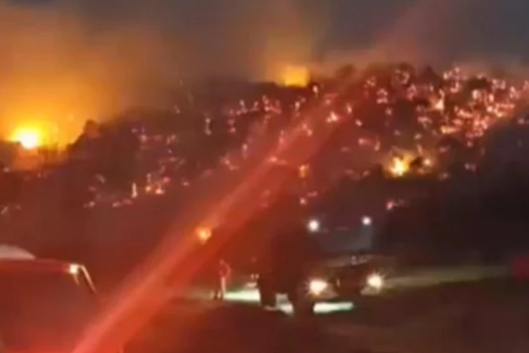 Meşə yanğını 6 saatdan sonra söndürüldü