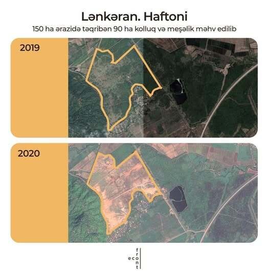 "Asfalt Raqib" məhkəməni uduzdu - 100 hektar meşəni geri qaytaracaq