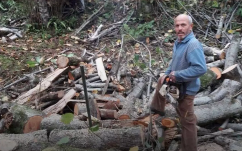 Ağacın altında qalan adam həyatını itirdi