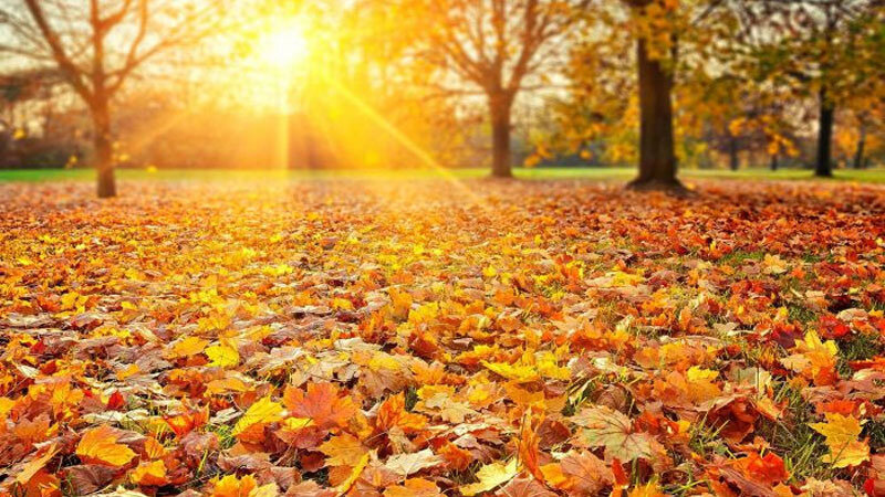 Sabah 24 dərəcə isti olacaq