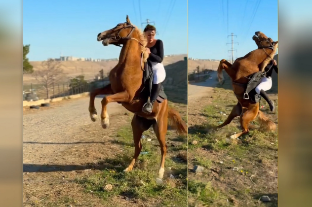 At rəqqasənin üzərinə yıxıldı - ANBAAN VİDEO