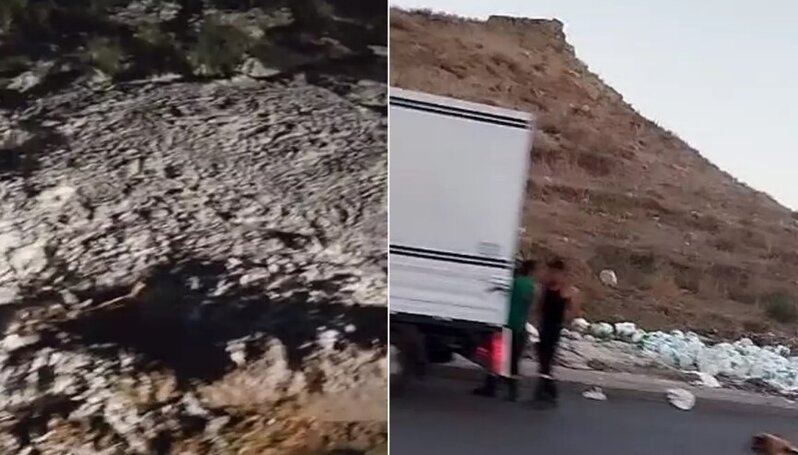 Yüzlərlə qab qatığı yol kənarına tökdülər - VİDEO