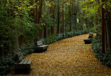 Sabah hava necə olacaq?