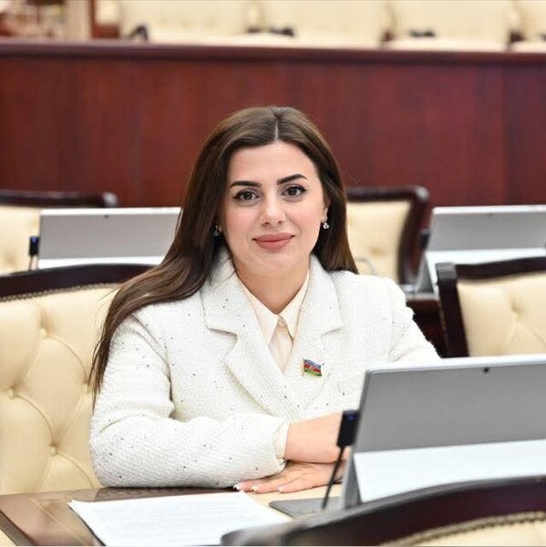 "Vətən müharibəsi bizim şanlı qələbəmizin başlanğıcı idi və Azərbaycanın tarixi zəfərinin elan olunması ilə sona çatdı" - DEPUTAT