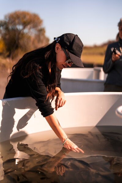 Leyla və Arzu Əliyevalar Qaxda açılışda - Fotolar