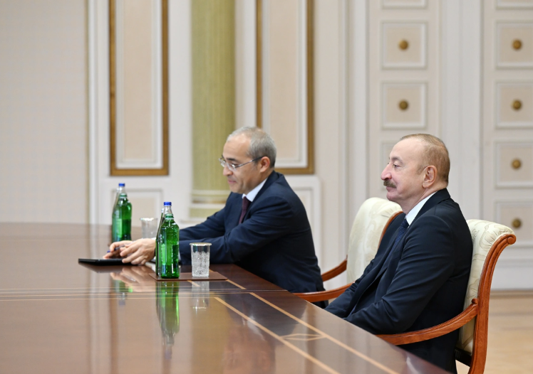 İlham Əliyev Ərəb Koordinasiya Qrupuna daxil olan üzv qurumların rəhbər şəxslərini qəbul edib