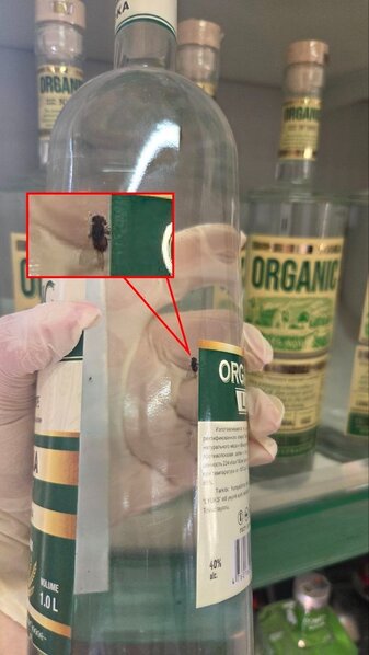 Saxta olduğu azmış kimi içindən milçək də çıxdı - Fotolar