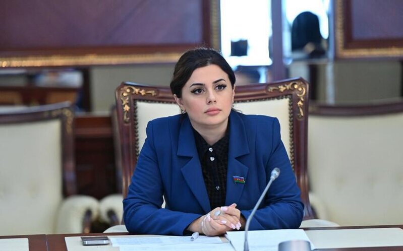 "Bu gün Azərbaycan tarixdə heç vaxt olmadığı qədər güclü və dayanıqlıdır" - DEPUTAT