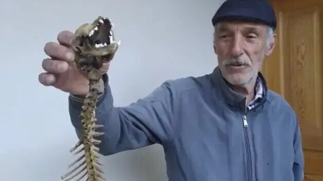 Vətəndaş evindən yırtıcı dişli heyvan skeleti tapdı - FOTO