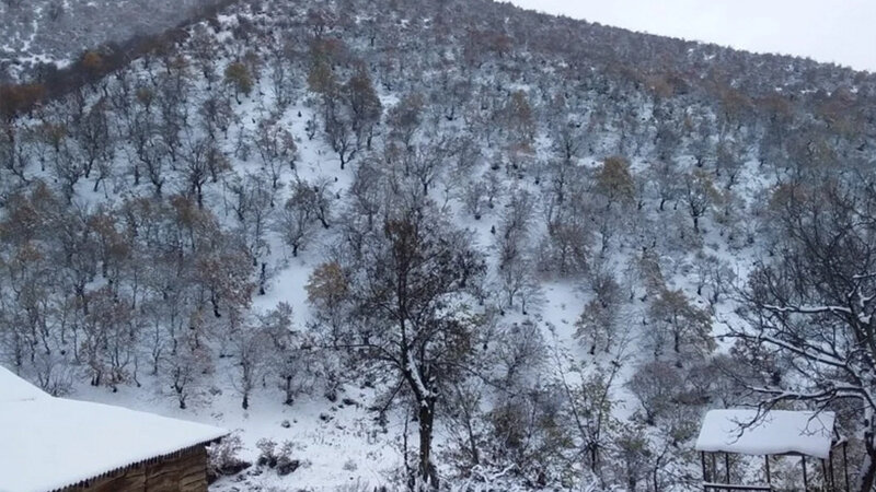 Zaqatalaya qar yağır