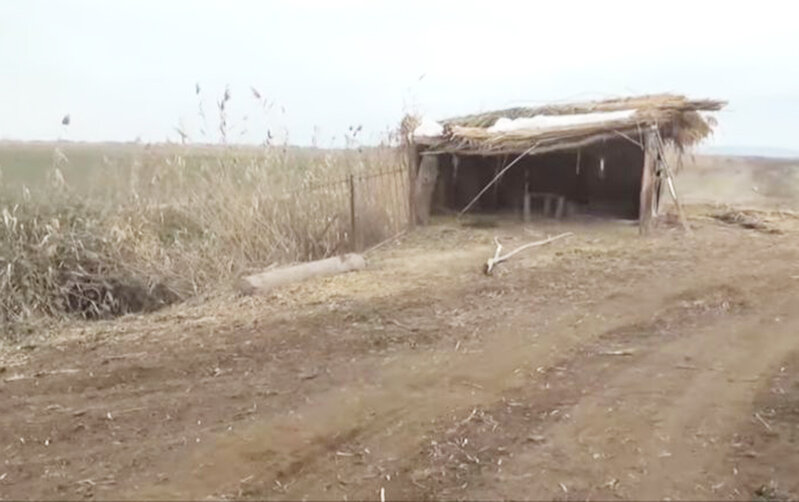 "Oğlum hələ uşaq idi, meyiti yox etməli idik..." - Tanınmış həkimin qızı