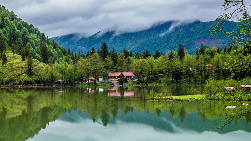 Yeni milli park yaradılır - Kəlbəcər, Laçın, Ağdərə, Xocalını əhatə edəcək