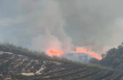 Zəngilandakı yanğına səbəb olan vəzifəli şəxs: "Arılara tüstü vermək istəyirdim"