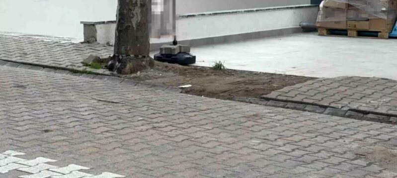 Zibilə atmaq üçün götürdüyü kargo paketindən 60 min dollar çıxdı - VİDEO