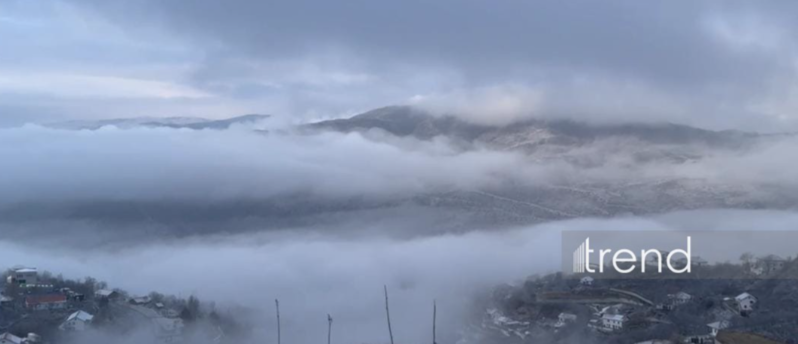 Laçına da qar yağır (FOTO)