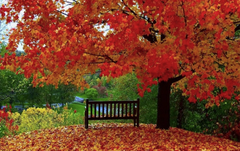 Sabah hava necə olacaq?